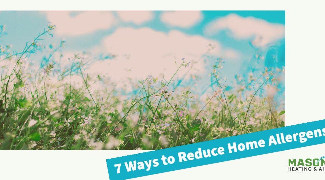 7 Ways to Reduce Home Allergens