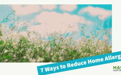 7 Ways to Reduce Home Allergens